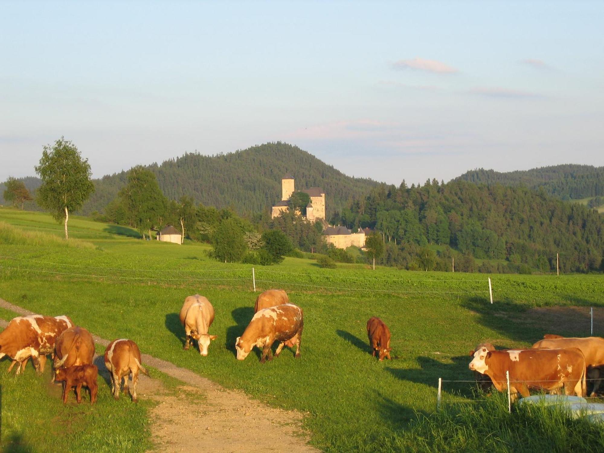 Ferienhof Stanzl Rappottenstein Exteriör bild