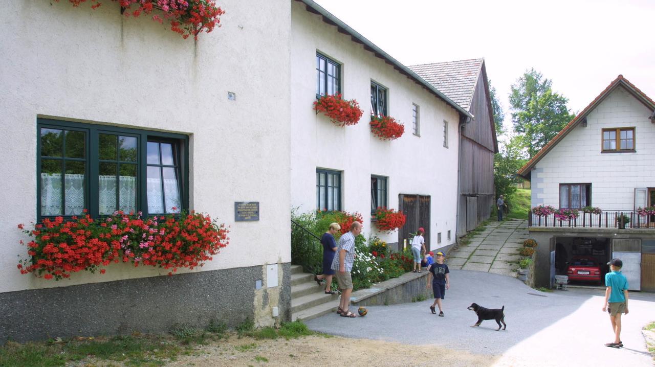 Ferienhof Stanzl Rappottenstein Exteriör bild