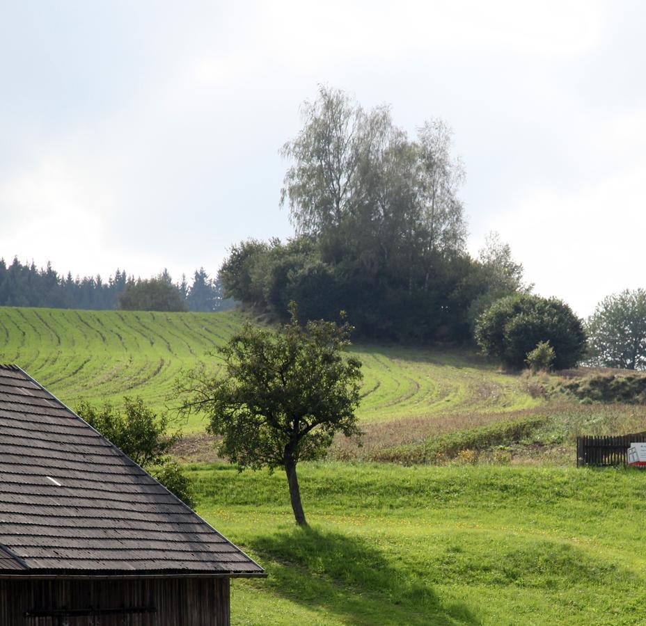 Ferienhof Stanzl Rappottenstein Exteriör bild