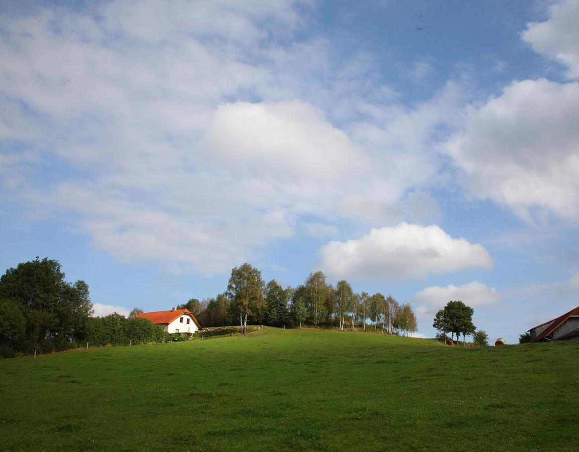 Ferienhof Stanzl Rappottenstein Exteriör bild