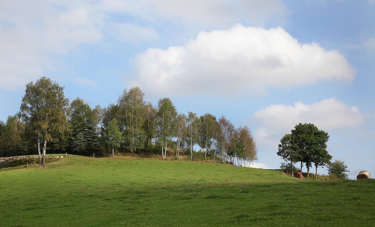 Ferienhof Stanzl Rappottenstein Exteriör bild